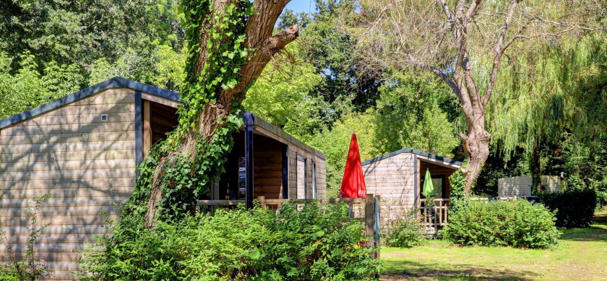 Camping De La Plage Bénodet - 400 mètres de La Plage Exterior foto